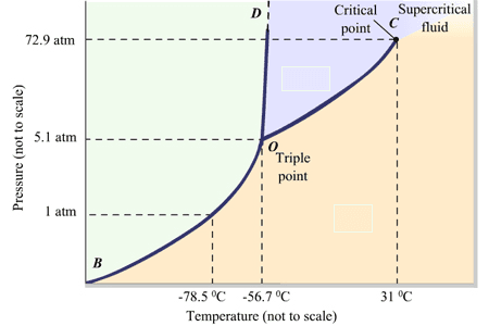 Label the phases in the phase diagram ____