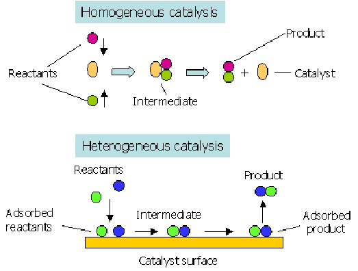 Autocatalysis is where a product of the reaction acts as a catalyst for the reaction.