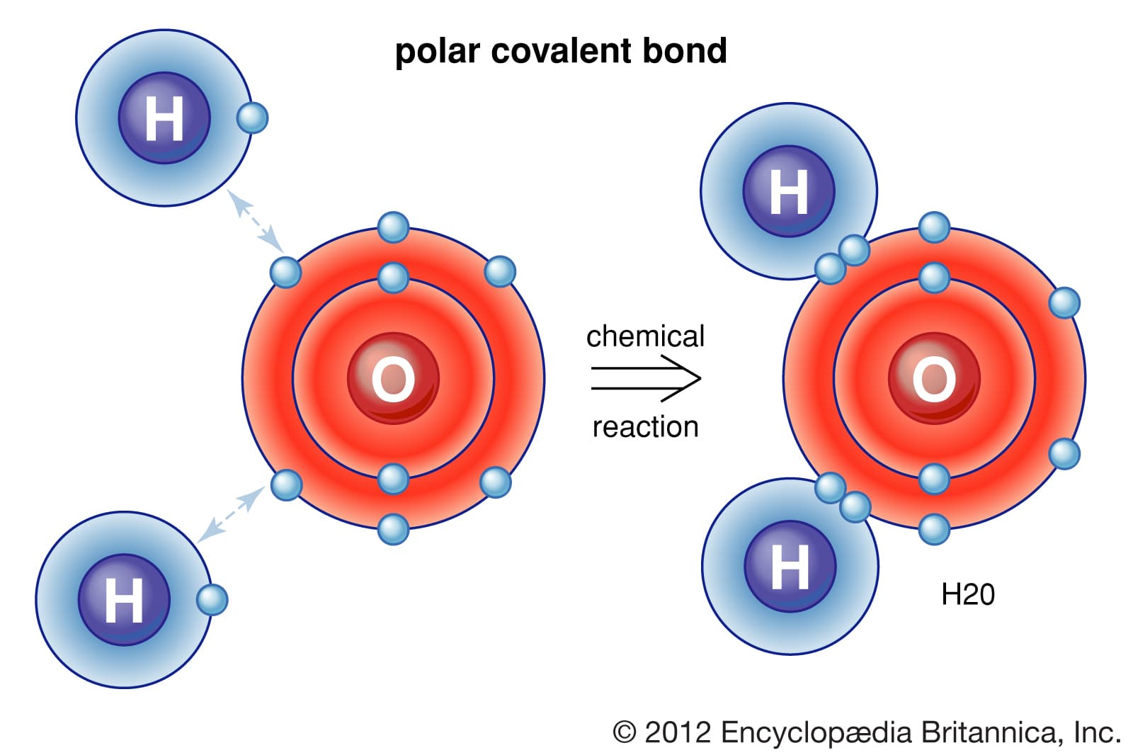 atoms bond bonds electrons hydrogen oxygen atom: Atoms held together by only covalent bonds form a molecule.