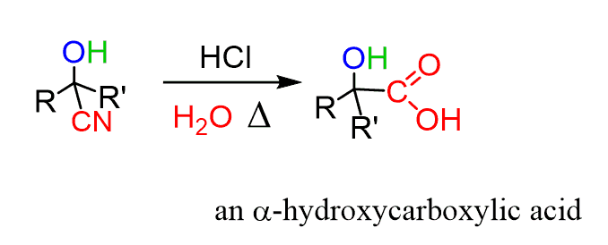 When cyanohydrin is exposed to acid and water, it is converted to a carboxylic acid.