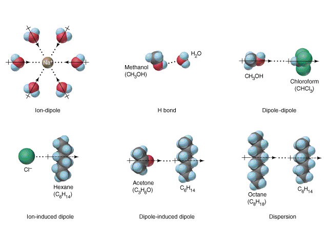 interaction orig: Intermolecular forces are the bonding forces that keep a substance together in its solid or liquid state and determine…
