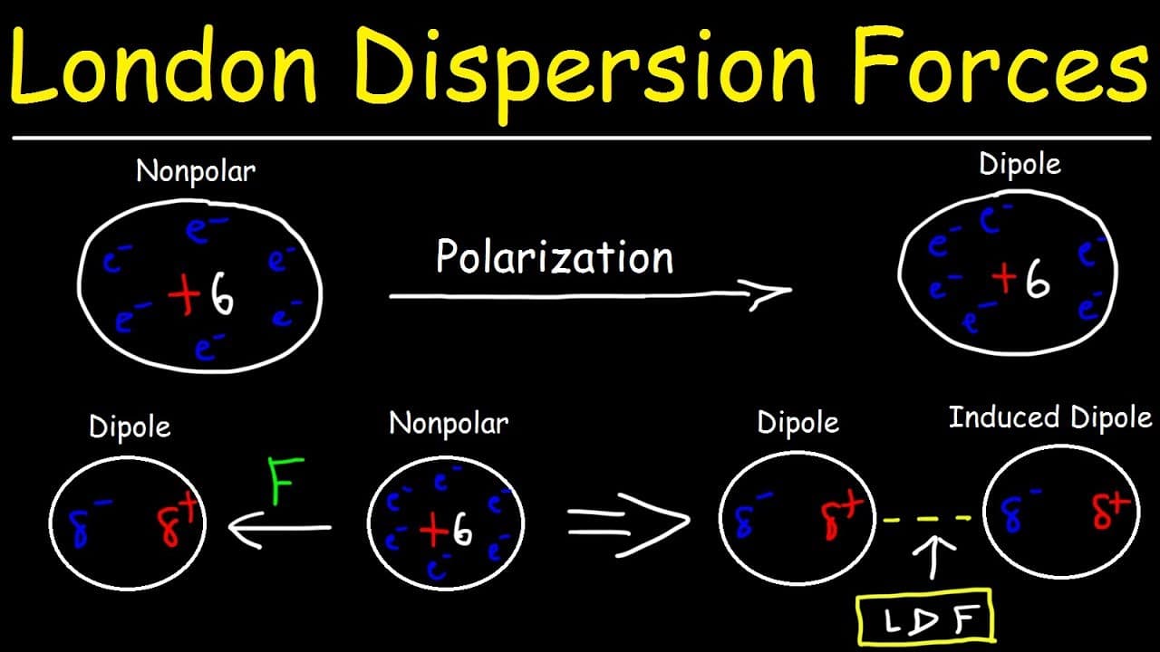 Dispersion forces are the weakest of all of the intermolecular interactions because they are the result of induced dipo…