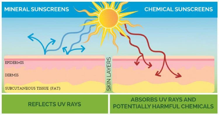 mineralvschemicalsunscreens e1: The ultraviolet component of sunlight has sufficient energy to catalyze certain chemical reactions.