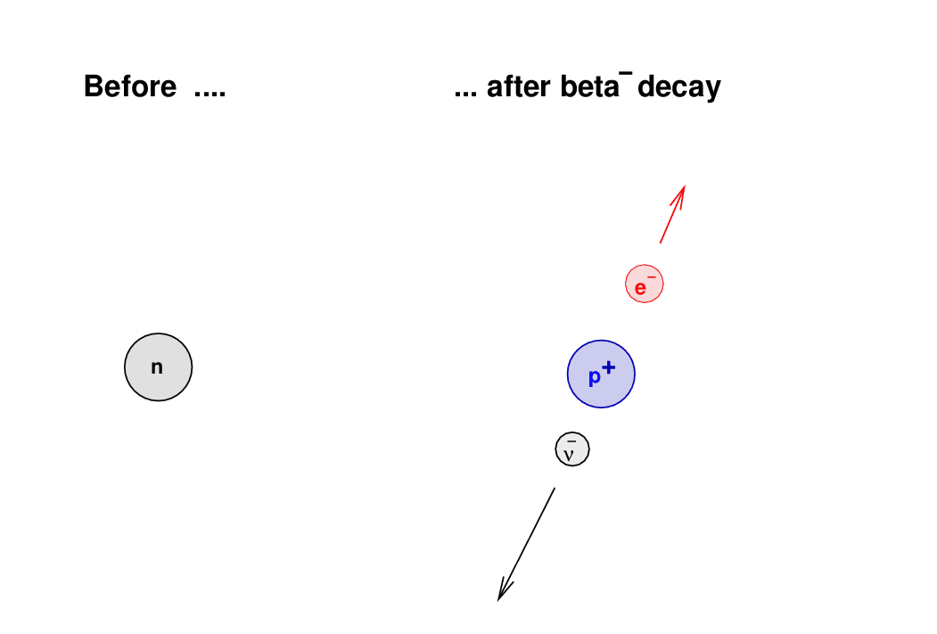 A neutrino is also emitted during ß decay, which is virtually a massless particle represented by the Greek letter nu (v…