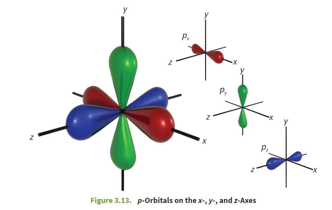 When l = 1, this indicates the p subshell, which has three orbitals shaped like barbells along the x -, y -, and z -axe…