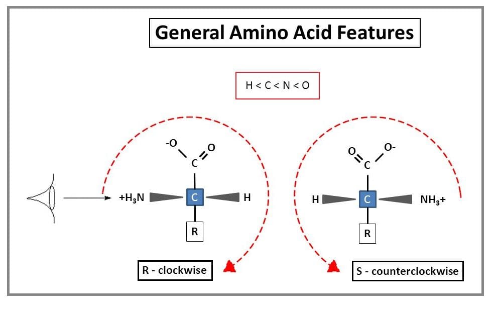 The absolute configuration around the central carbon of an amino acid is S.