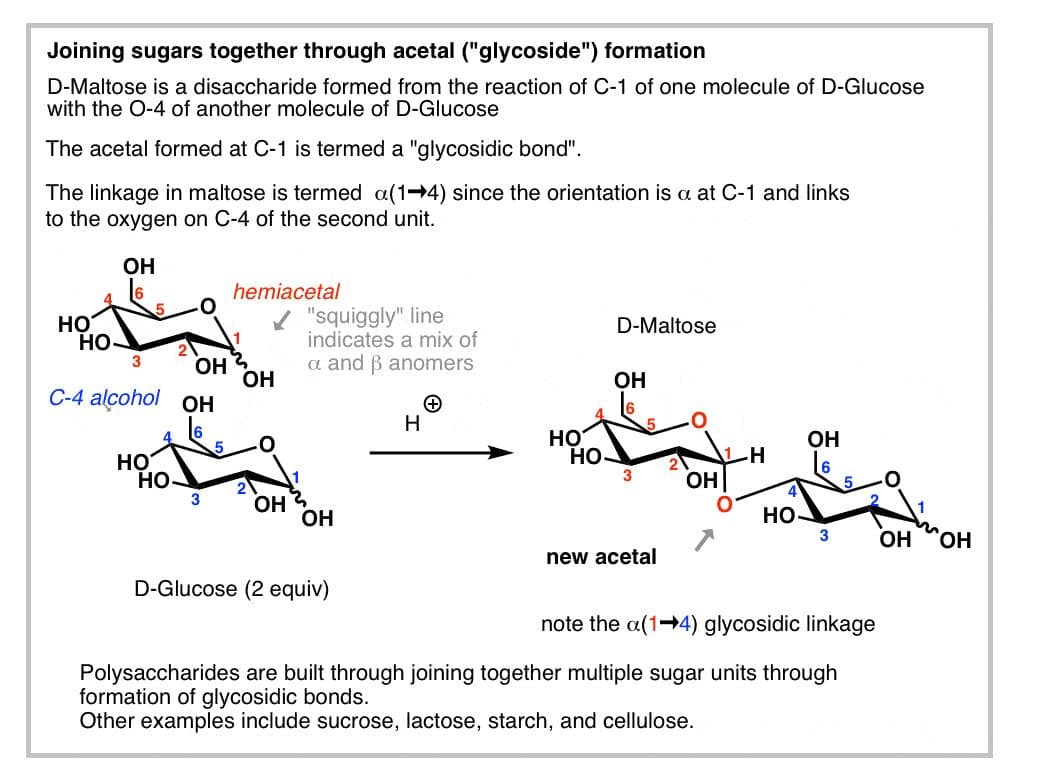 The connection between two sugars is called glycosidic linkages.