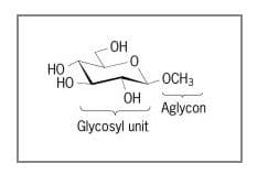 A glycoside is an acetal sugar (aka glycosyl unit) with a bond on its anomeric (1 st ) carbon, to an aglycone.