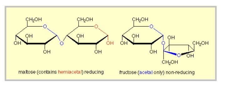 Monosaccharides can also undergo intermolecular nucleophilic substitution reactions with other monosaccharides to form…