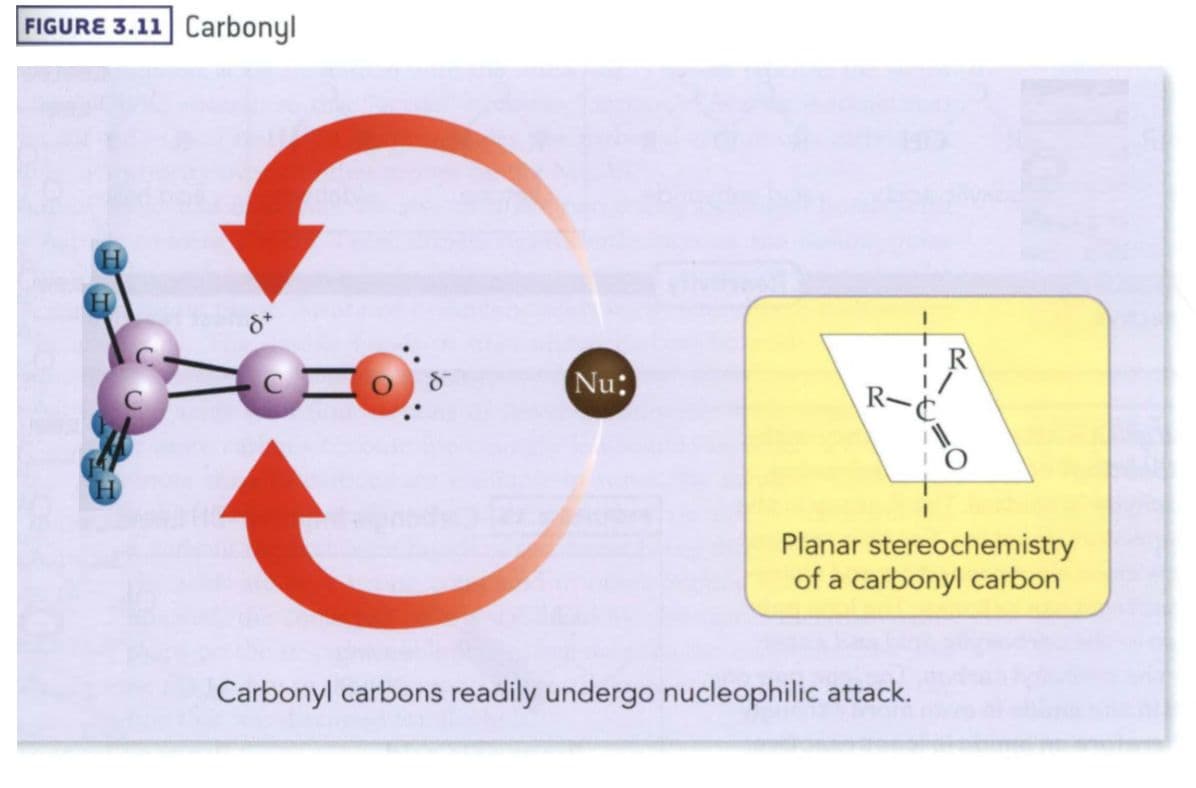 The planar stereochemistry of a carbonyl leaves open space above and below, reducing steric hindrance and making it mor…