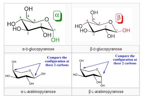 Alcohol group of anomeric carbon, facing downwards is in α configuration .