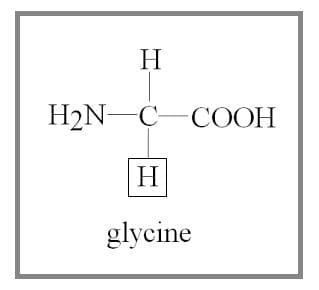 The only non-chiral amino acid is glycine.
