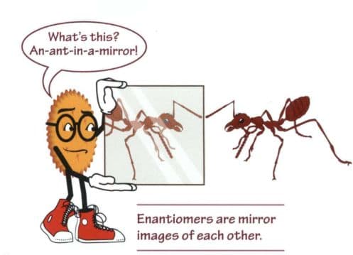 Enantiomers are non-superimposable mirror images of one another.