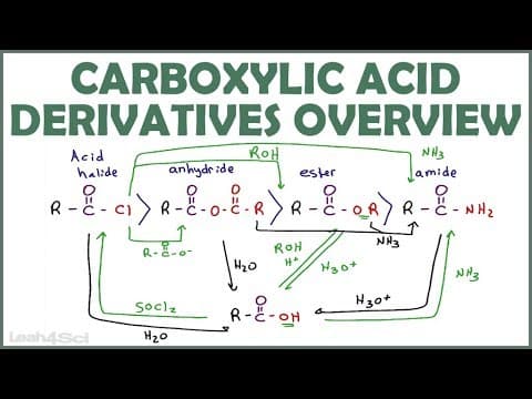 hqdefault: The carboxylic acid derivatives include esters, amides, and anhydrides.