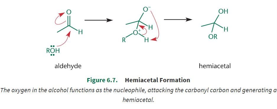 When one equivalent of alcohol is added to an aldehyde or ketone, the product is a hemiacetal or hemiketal, respectivel…
