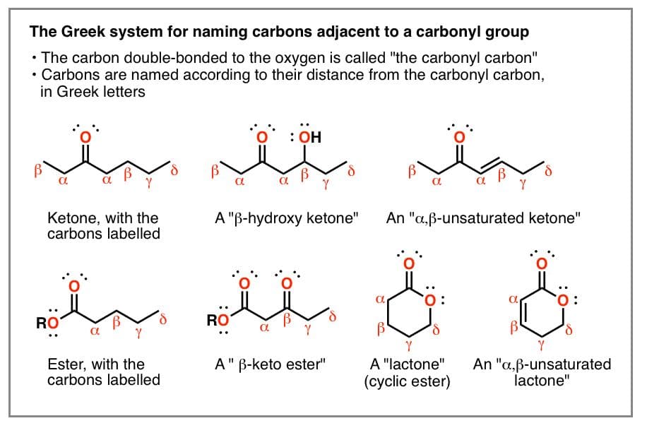 Lactams may also be named by indicating the specific carbon that is bonded during cyclization of the compound.