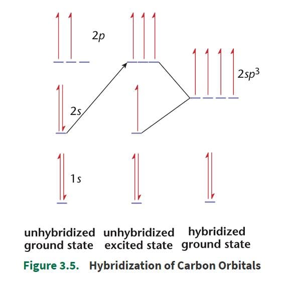 Hybrid orbitals are formed by mixing different types of orbitals.