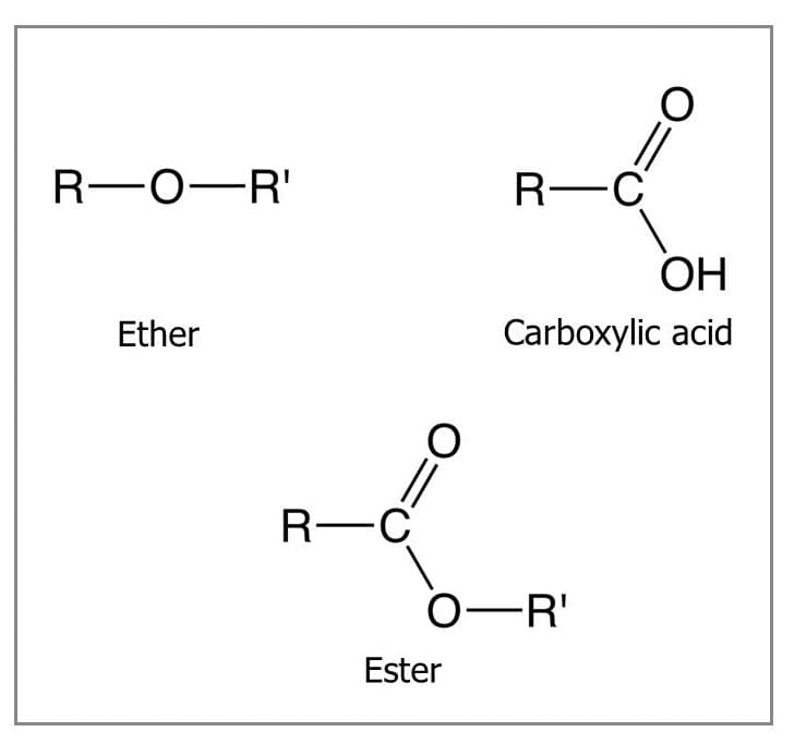 Esters are a hybrid between a carboxylic acid and an ether (ROR′ ).