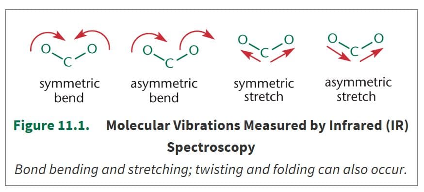 When light of certain wavenumbers is absorbed, the molecules enter excited vibrational states.