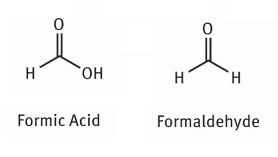 Formaldehyde and formic acid both refer to molecules with methane as a parent alkane.