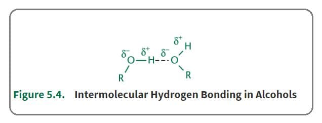 Hydrogen bonding causes increased melting points, boiling points, and solubility in water.