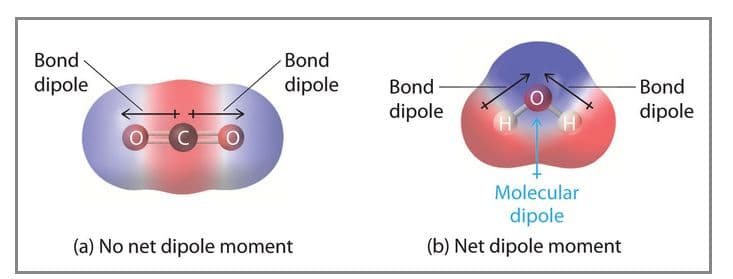 Molecules that do not experience a change in dipole moment are those composed of atoms with the same electronegativity…