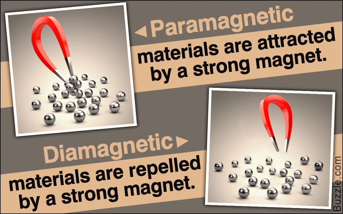 Diamagnetic materials possess no unpaired electrons and are slightly repelled by a magnet.