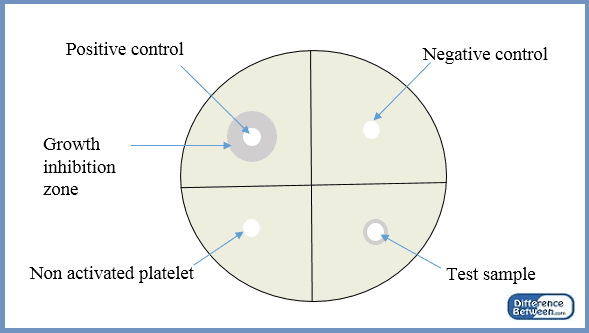 Difference Between Positive and Negative Control 1: A negative control group is a group in which no response is expected .