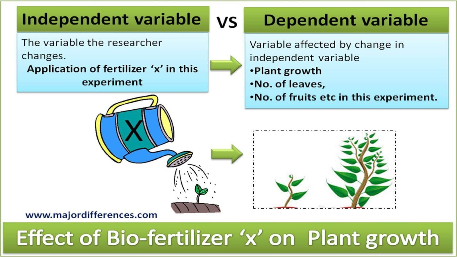 The independent variable is the variable that is changed or controlled in a scientific experiment.