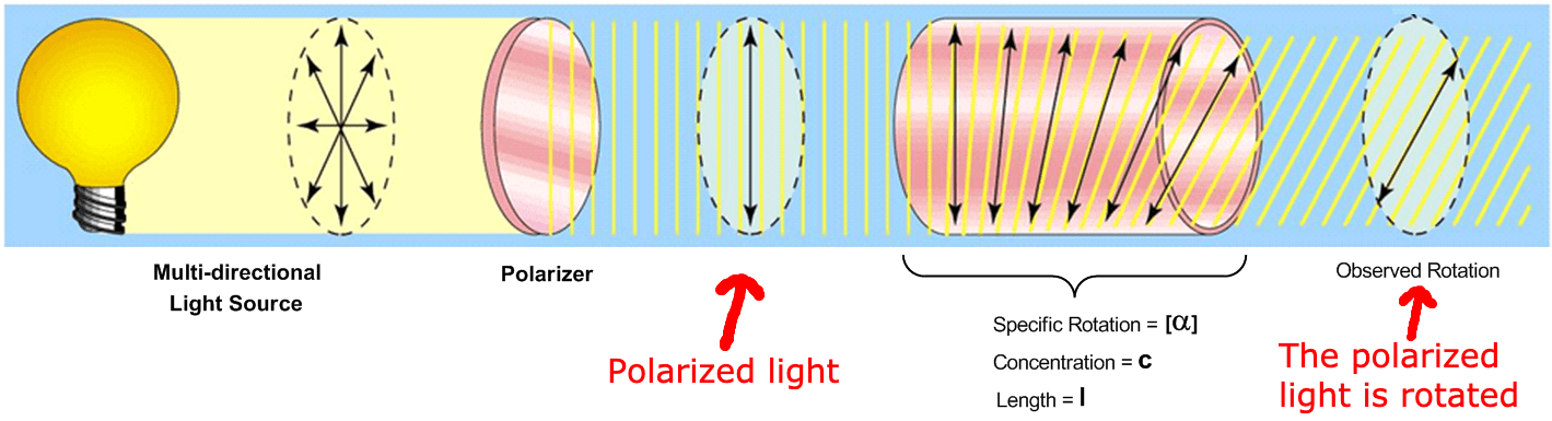 Optical Activity: Plane polarized light waves are light waves in which the vibrations occur in a single plane.
