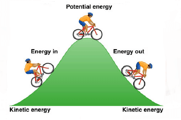 Potential energy is a type of energy an object has because of its position .