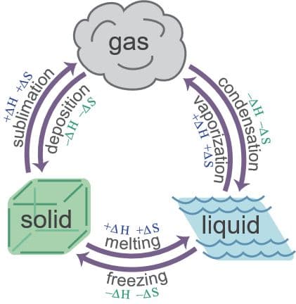 During a phase change, heat energy causes changes in the particles’ potential energy and energy distribution (entropy),…