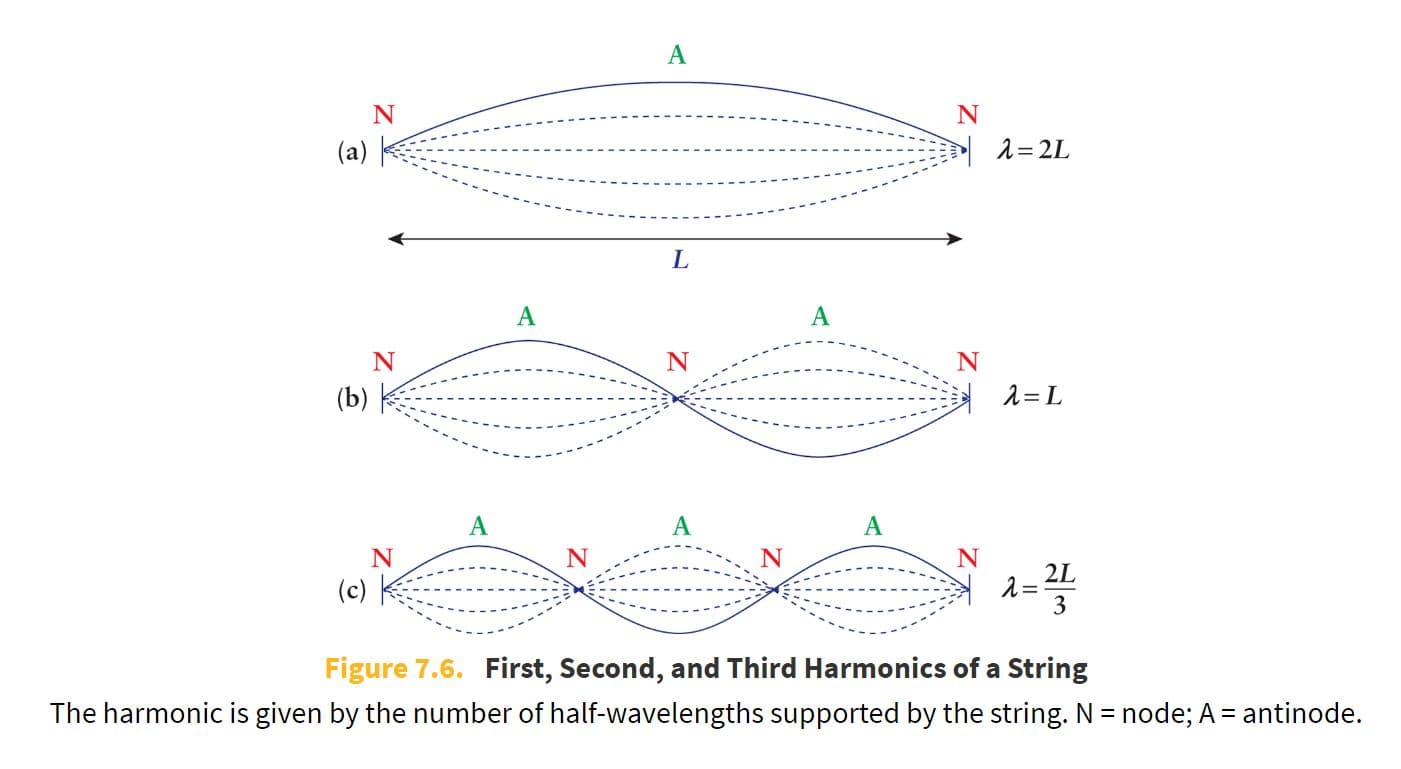 Strings and open pipes (open at both ends) support standing waves, and the length is equal to some multiple of half-wav…
