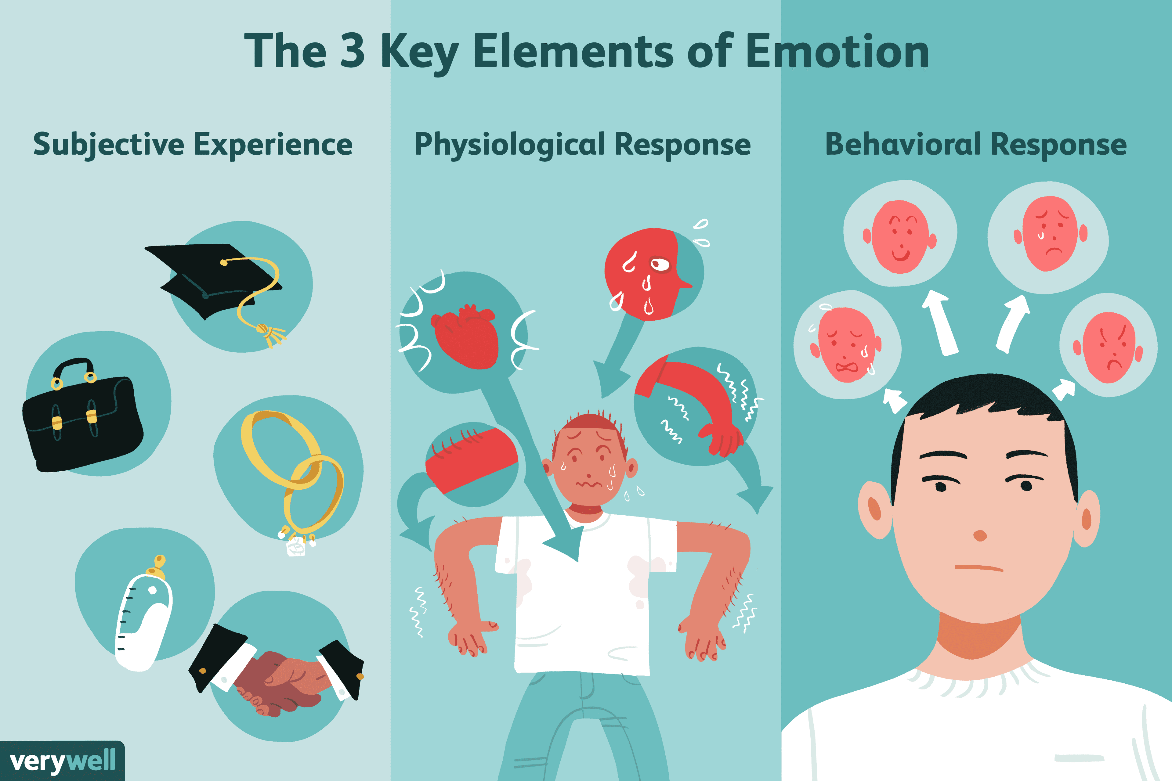 3 Key Elements of Emotion: The three components of emotion are cognitive, physiological, and behavioral.