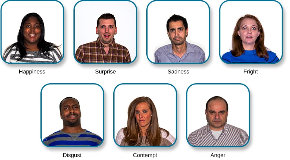 The 7 universal emotions are: Happiness Surprise Sadness Fear Disgust Contempt Anger