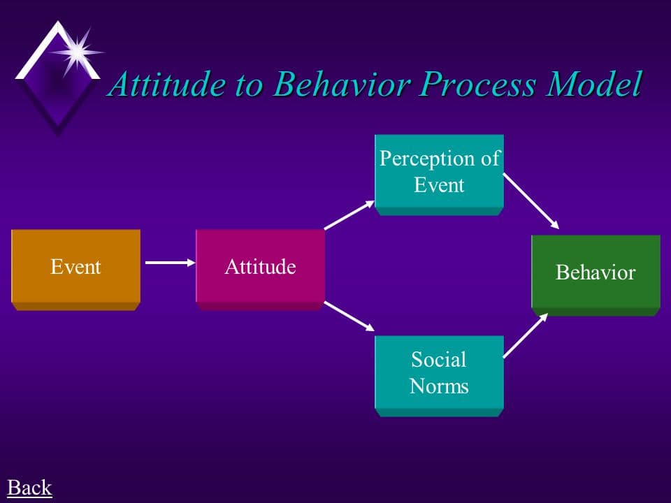 The attitude to behavior process model states that behaviors stem from individuals' perceptions of an attitude object a…