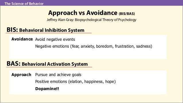 In Jeffrey Alan Gray's biopsychological theory of personality, a behavioral approach system (BAS) is believed to regula…
