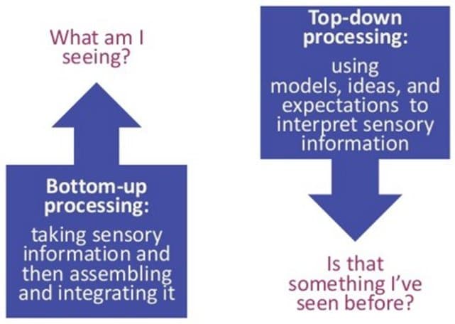 Bottom Up Processing: Using bottom-up processing , one will process details first, then the whole object.