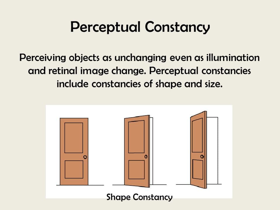 Object constancy is the tendency of animals and humans to see familiar objects as having standard shape, size, color, o…