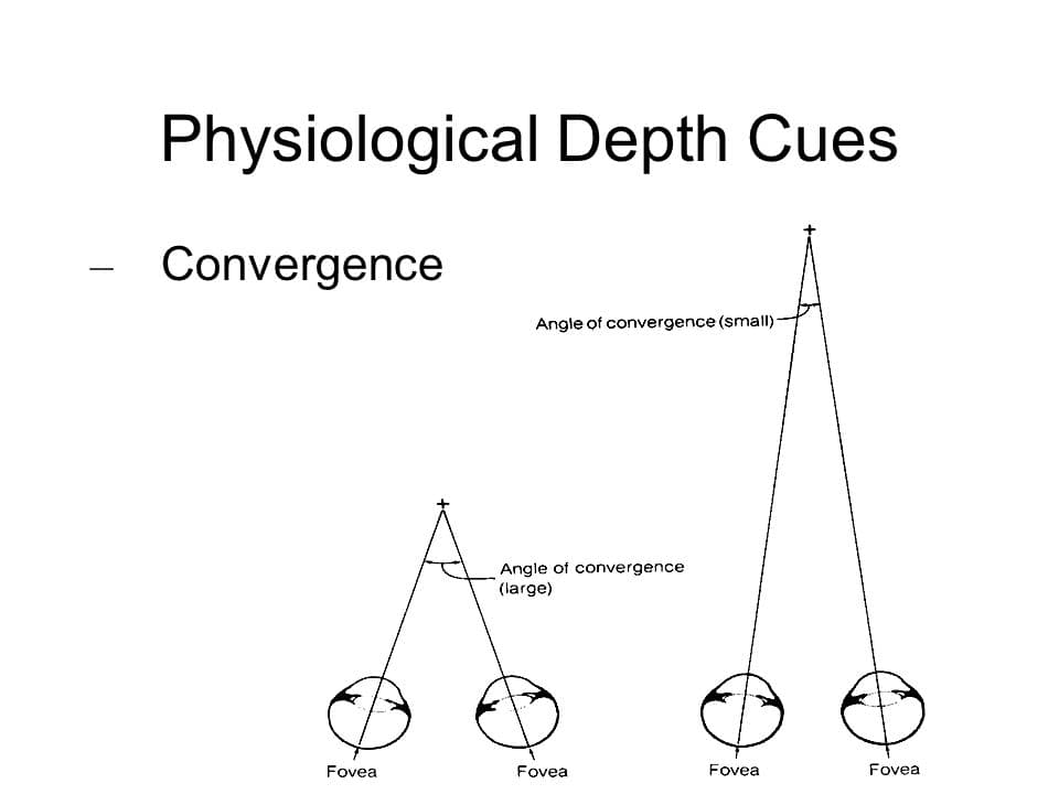 Convergence Depth Cue: Convergence of our eyes is the simultaneous inward movement of both eyes toward each other. This action will stretch th…