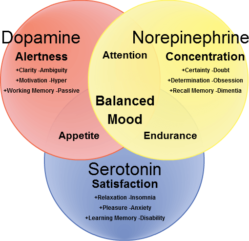 Depression Biological Factors: Biological factors related to depression include: High glucocorticoids - cortisol Low norepinephrine - catecholamine Lo…
