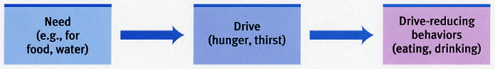 Drive reduction theory states that people are motivated to take certain actions in order to reduce the internal tension…