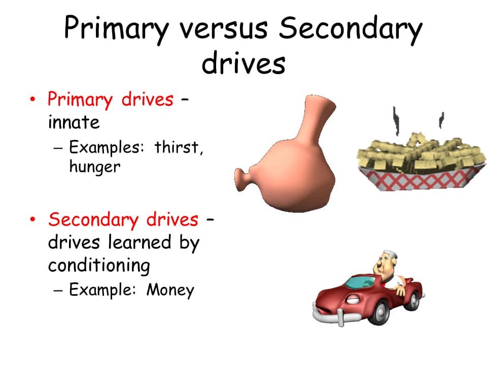 Drives are internal states of tension that beget particular behaviors focused on goals .