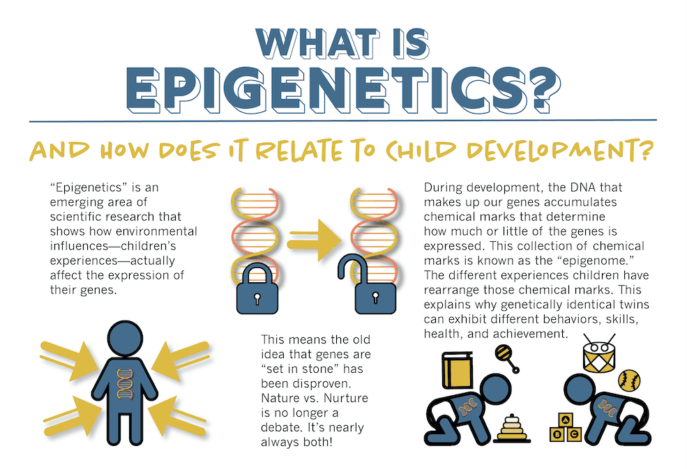 Epigenetics is the term used to describe inheritance by mechanisms other than through the DNA sequence of genes