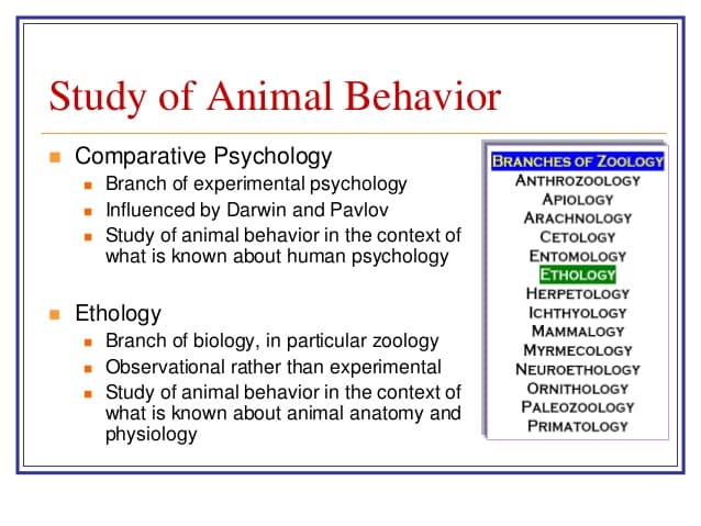 Ethology is the scientific and objective study of behaviour , usually with a focus on behaviour under natural condition…