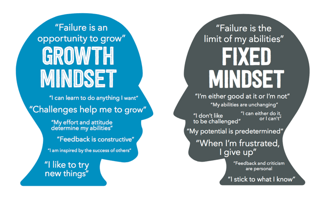 In a fixed mindset, people believe their basic qualities, like their intelligence or talent, are simply fixed traits .