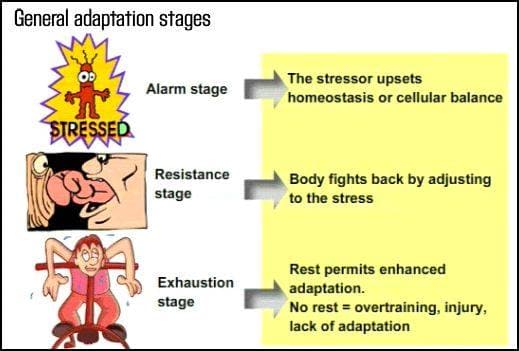 General adaptation syndrome explains how stressors do not have specific responses, they all generate the same general p…