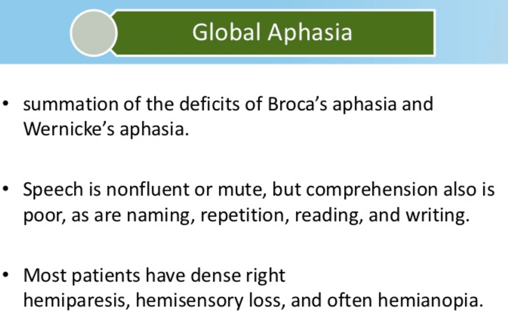 Global aphasia is a type of aphasia that results when damage in the brain is extensive enough to involve both the Broca…