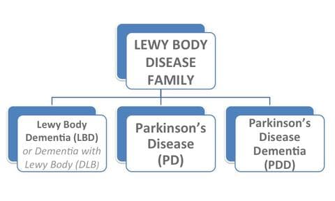Lewy Body Disease: Lewy body dementia is a disease associated with abnormal deposits of a protein called alpha-synuclein in the brain