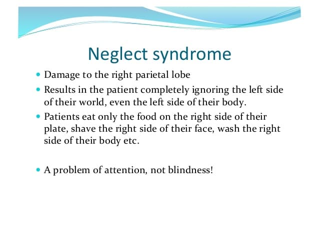 Neglect syndrome is a neuropsychological condition in which damage to the right parietal lobe causes a person to comple…
